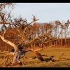 20120229_038